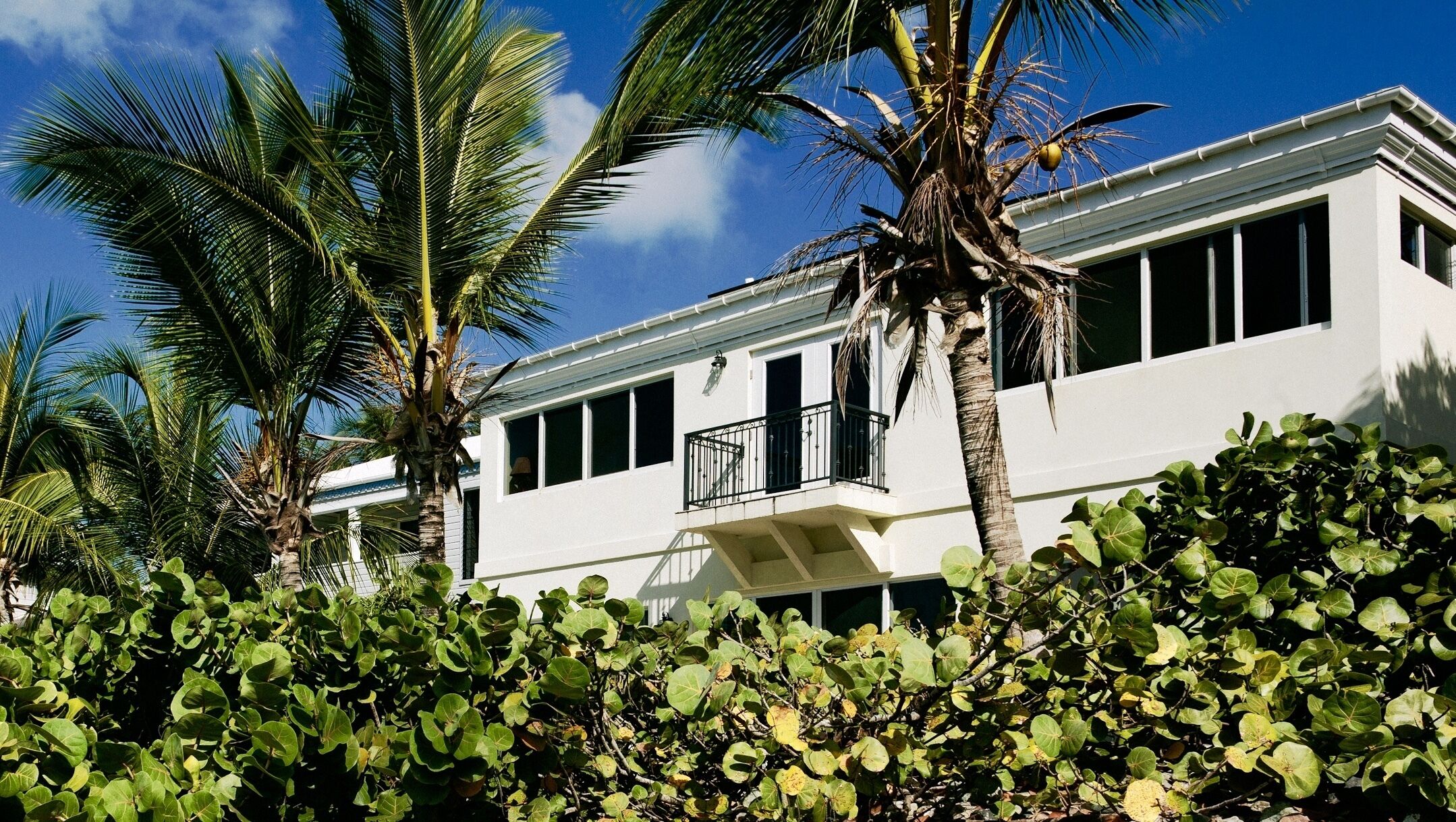 A modern two-story building with a balcony, surrounded by lush greenery and palm trees.
