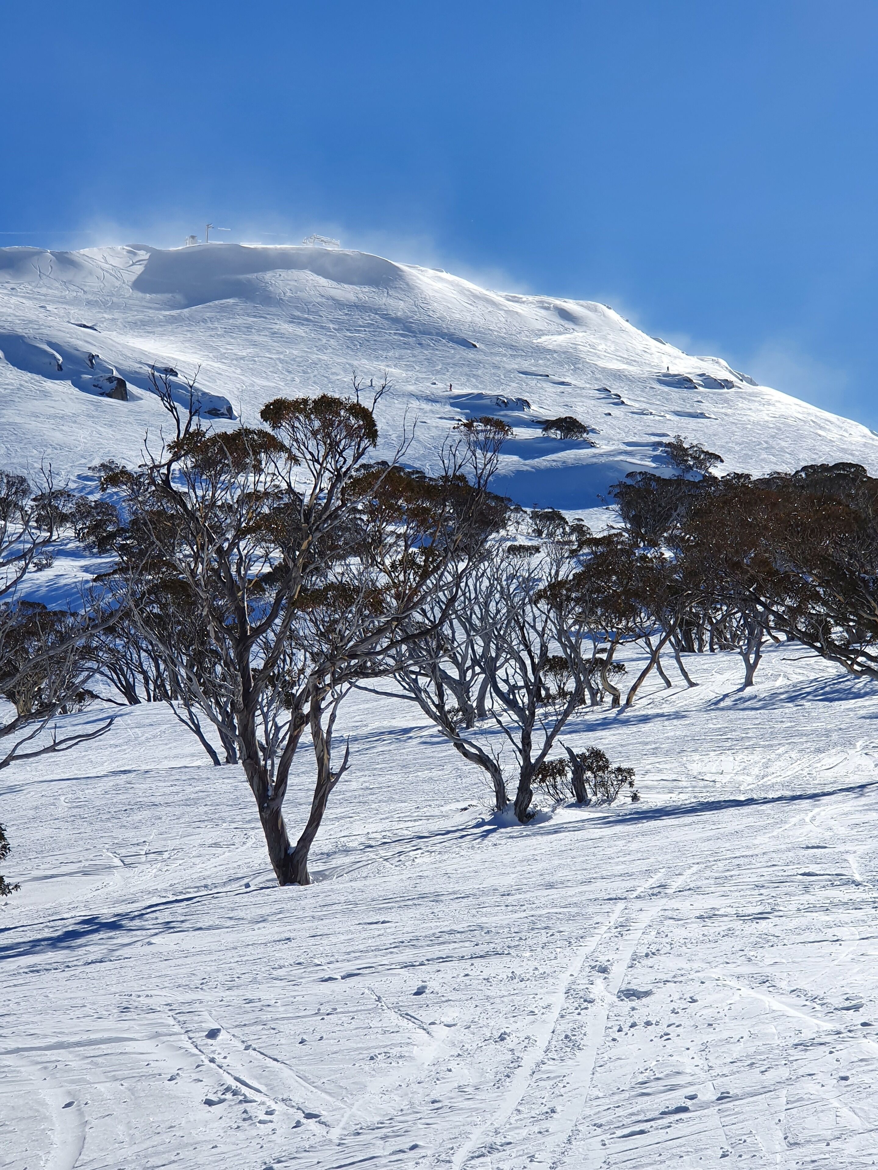 Lachney Cottage Dalgety - Snowy Mountains Holiday Accommodation — image 23