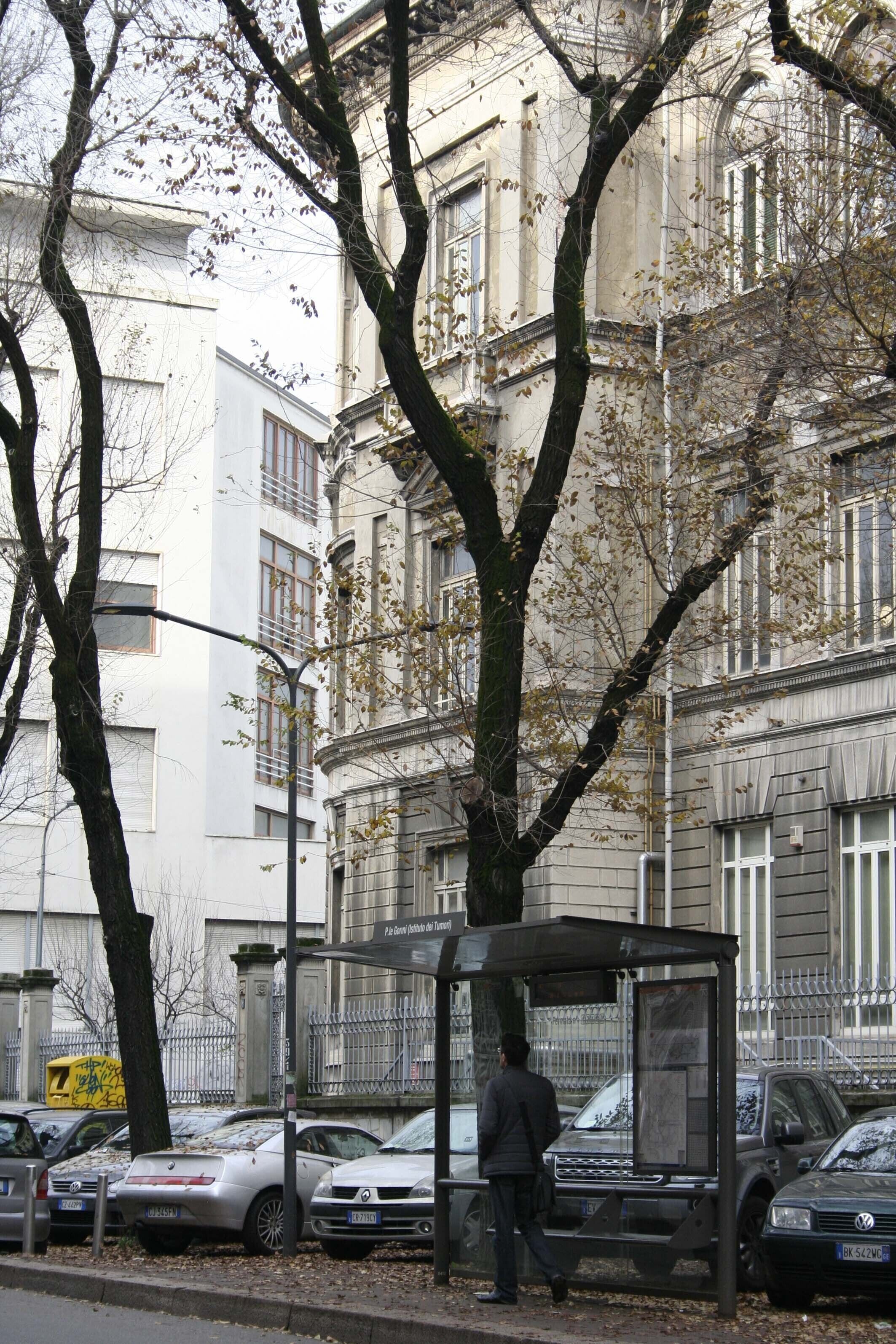 Waiting at the X61 bus stop in front of the building