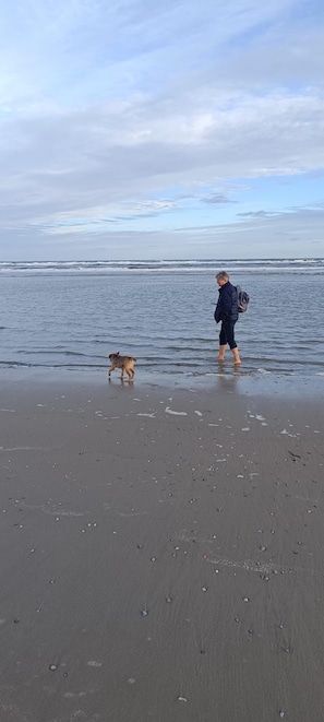 Ligstoelen aan het strand