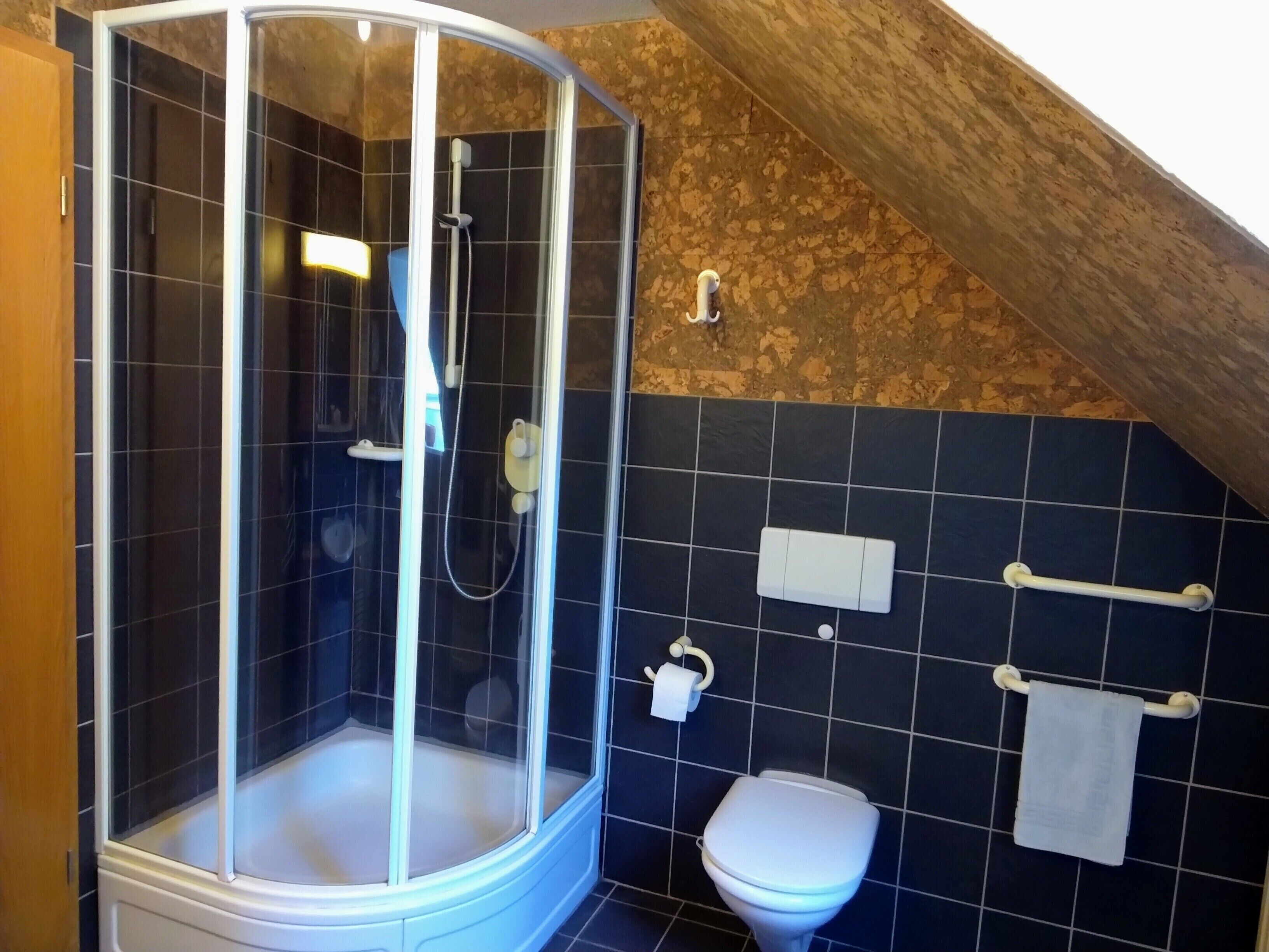A shower enclosure with a glass door, a toilet, and a towel rack in a bathroom with dark tiles and wooden ceiling.