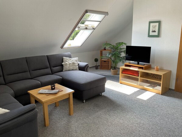 Smart TV, toys, books