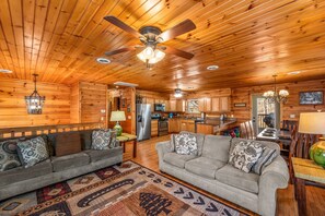 Smart TV, caminetto, lettore DVD, videoteca