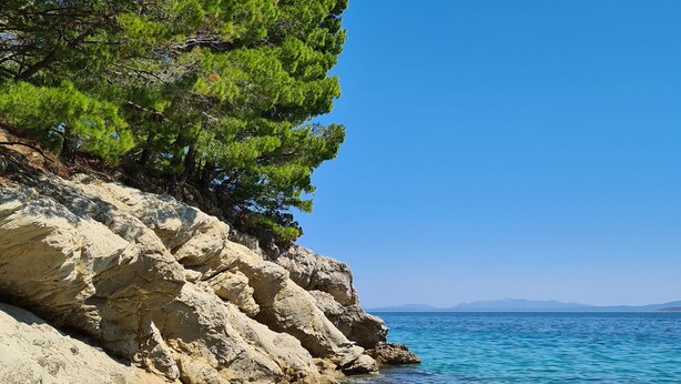 A clear coastal view with rocky terrain and a pine tree. - Enjoy Your Front Row Villa On The Adriatic Sea (Pisak)