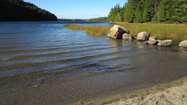 A calm lake with clear water, surrounded by a forested area and a sandy beach with large rocks. - Weekly Discount available! 4 Bedroom, 2 Bathroom, Walking Distance To Town (Southwest Harbor)