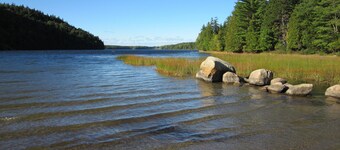 8 Acre Ejendom gåafstand til byen på Mount Desert Island!