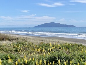 On the beach, beach towels - Brand New 3 Bedroom Beachfront Getaway.  Beach just across the road. (Otaki Beach)