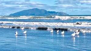 A beach with waves and a mountain in the background.