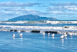 On the beach, beach towels