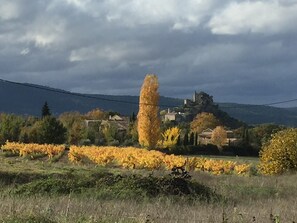 Photo non classée, 2 sur 35, bouton