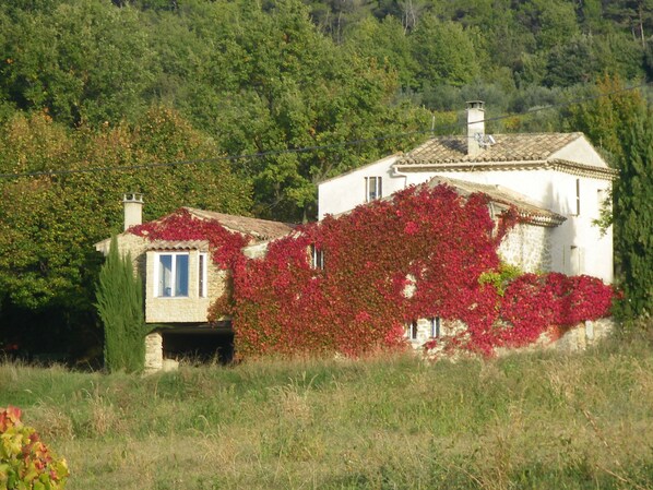 A stone house with a tiled roof, surrounded by lush greenery and trees.