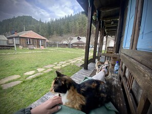 Basic-Bungalow, Mehrere Betten | Terrasse/Patio