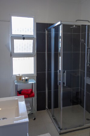 Ducha, secador de pelo, bidé y toallas