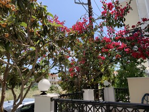 Property grounds - Ireo the fishing village.  Two room apartment. (Ireo)