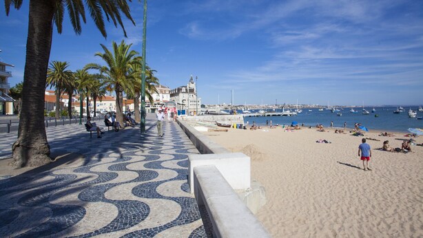 Une plage avec une promenade dallée, des palmiers et une vue sur les bateaux qui flottent sur l’eau.