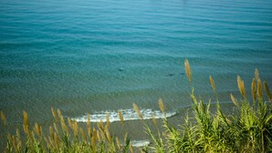 Una vista sulla costa con acqua limpida, rocce e erba in primo piano.