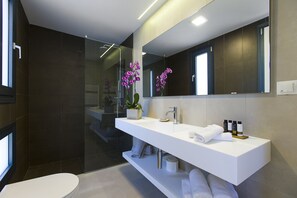 Shower, hair dryer, towels, shampoo