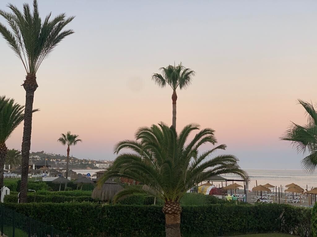 Uitzicht op het strand met palmbomen, een heldere lucht en een verre kustlijn.
