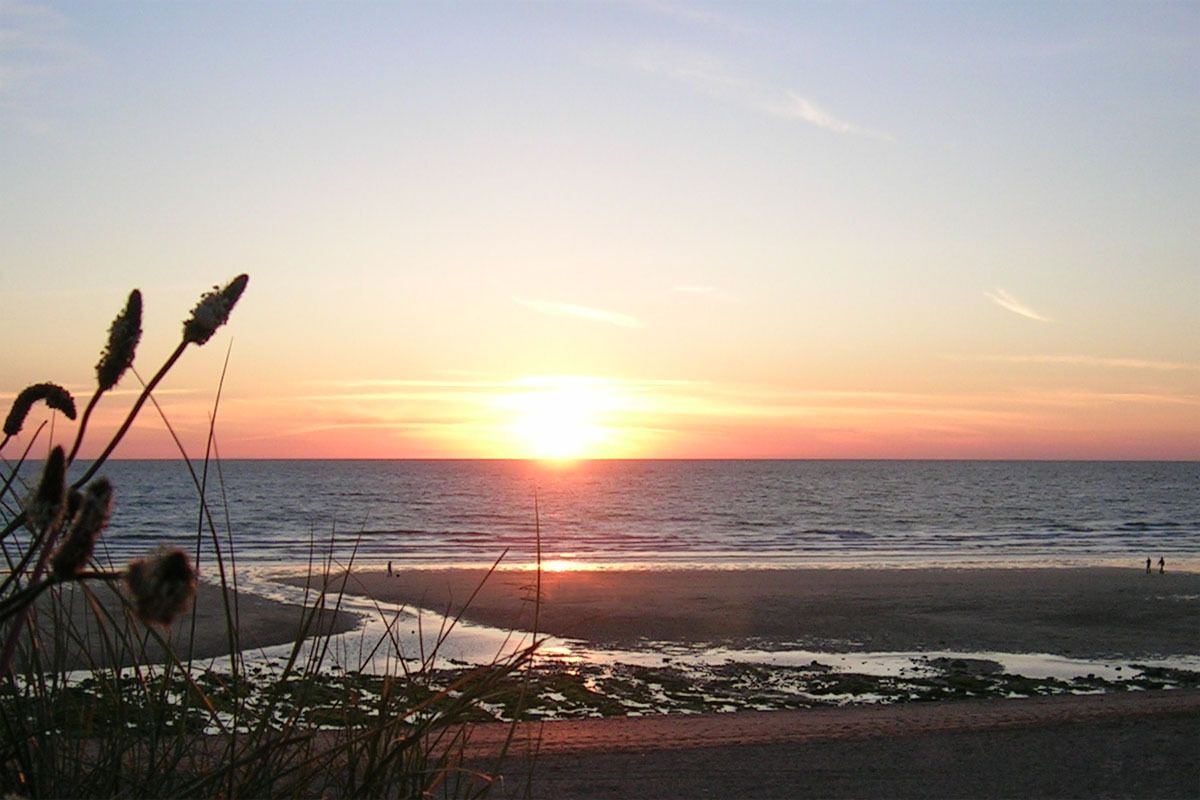 A sunset over a beach with waves and grasses in the foreground.