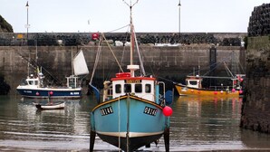 A harbor with several boats docked at a stone quay. - Harrington Flats (Newquay)