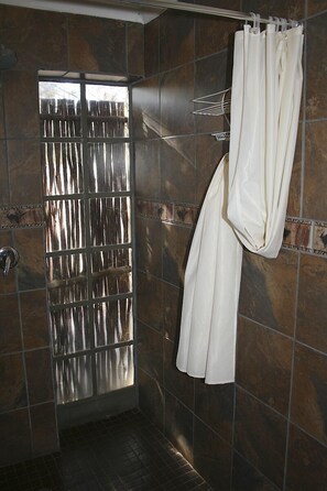 Executive Suite | Bathroom shower - Leribisi Lodge (Tierpoort)