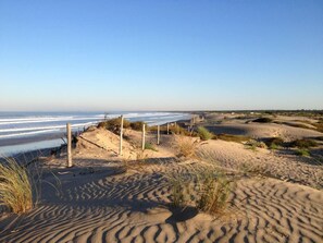 Une plage avec des dunes de sable et une clôture en bois.