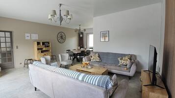 Televisión, chimenea, reproductor de DVD y libros