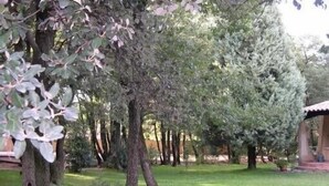 Puutarha, jossa on monenlaisia puita ja huvimaja.