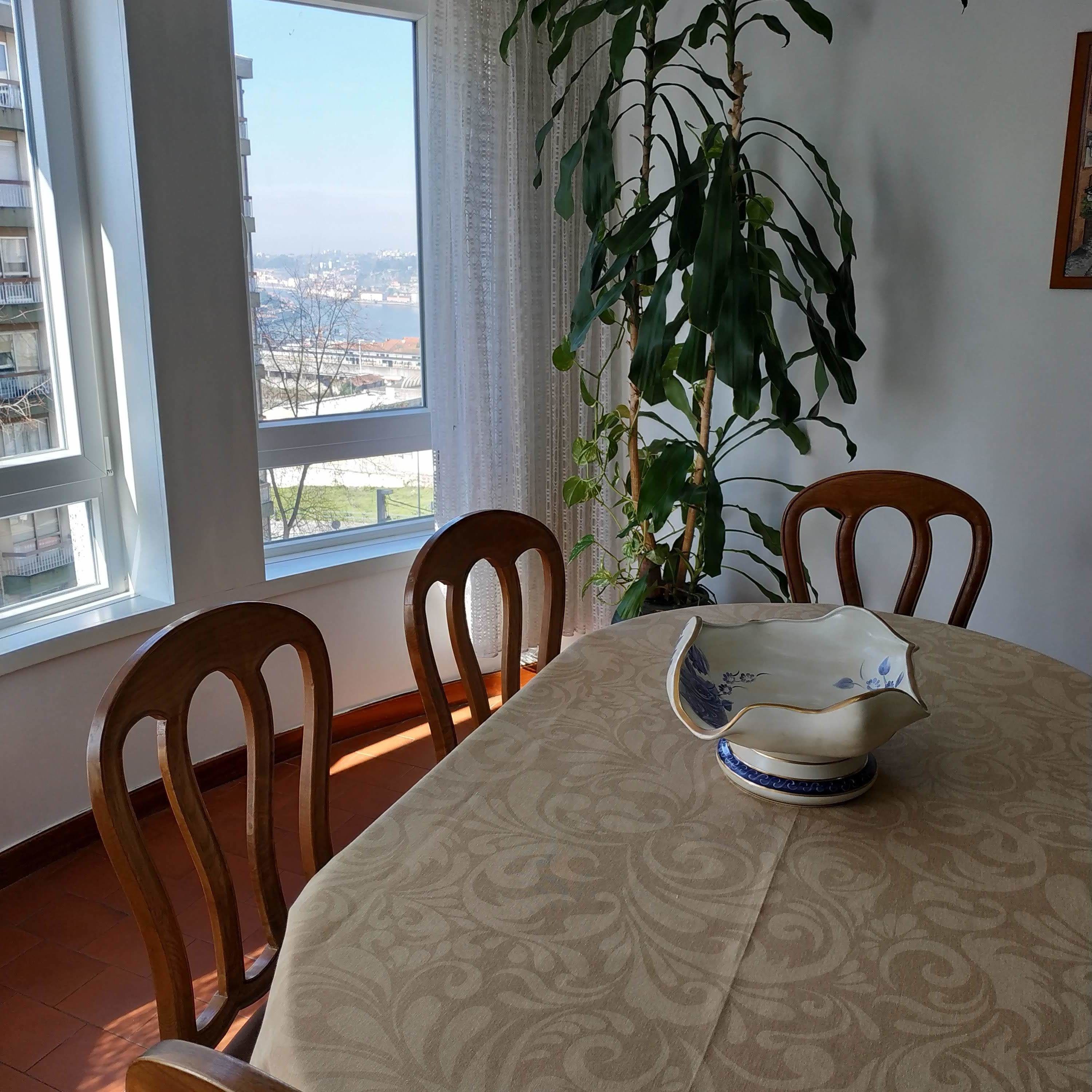 A dining table with a floral tablecloth, two wooden chairs, a potted plant, and a window with a view of buildings and trees.