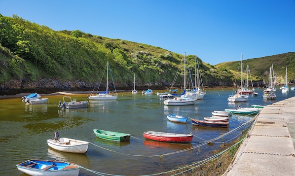 Marina - Pet Friendly Traditional Pembrokeshire Farmhouse, close to Solva and coast. (Haverfordwest)