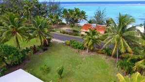 A tropical landscape with palm trees, a road, and a beach. - Mac's Shack - Titikaveka (Titikaveka)