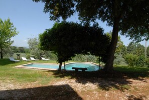 Une piscine avec un banc, entourée d’arbres et d’herbe.