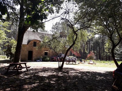 Seasonal rental of a Breton cottage in the heart of the forest