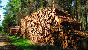 Ulkopuoli