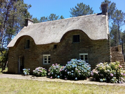 Seasonal rental of a Breton cottage in the heart of the forest