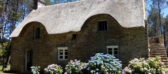 Sesongleie av en bretonsk hytte i hjertet av skogen