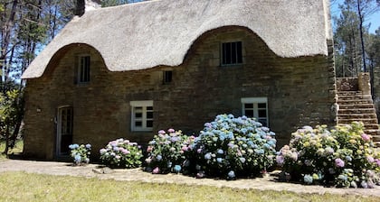 Seasonal rental of a Breton cottage in the heart of the forest