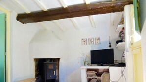 A living room with a fireplace, a television, and a bookshelf. - Sun, sea, calm and space in a finca 6.5 ha, Casita Tres (El Perelló)