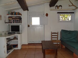 Télévision, cheminée, lecteur de DVD, livres