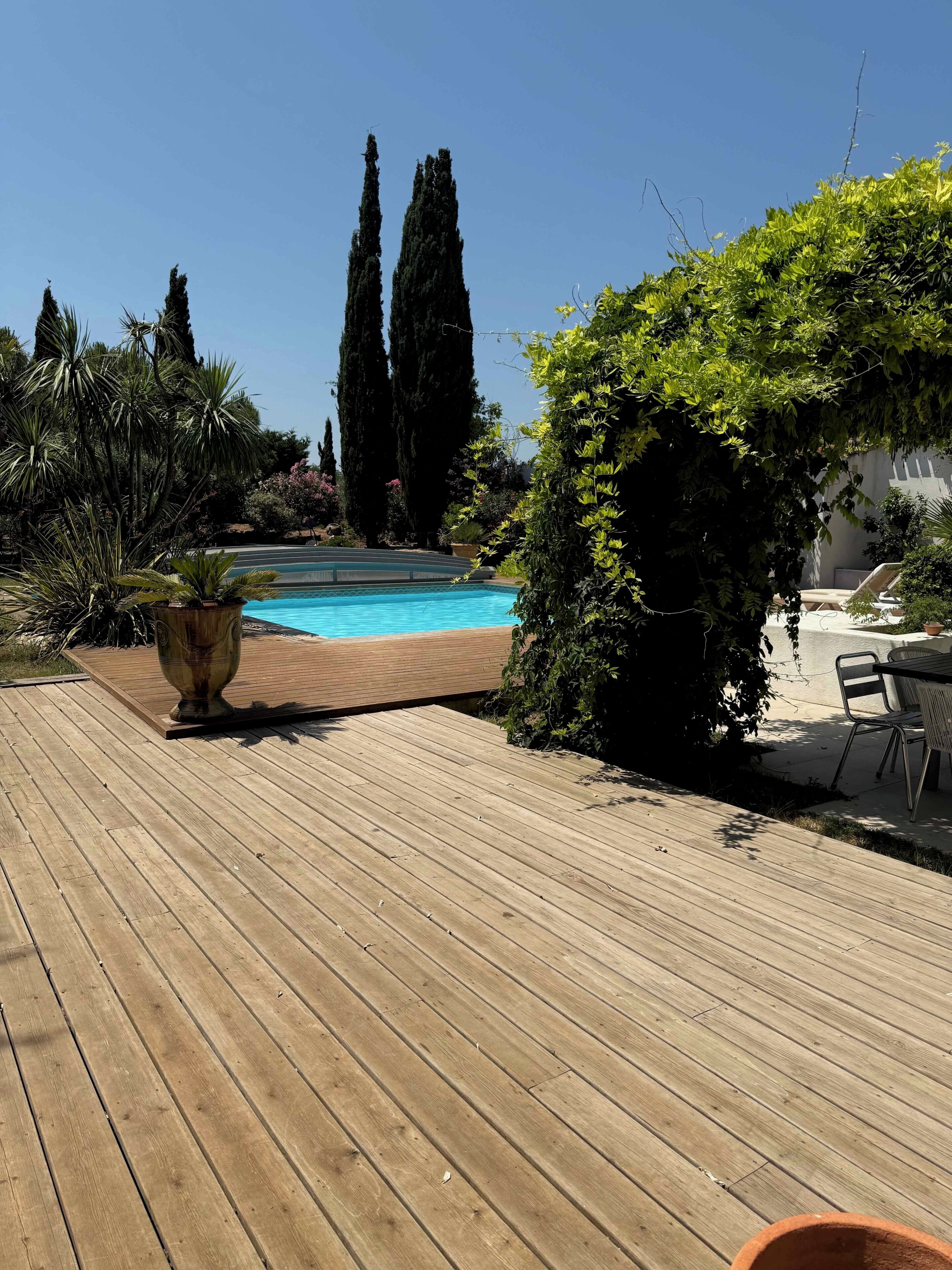A wooden deck with a swimming pool, surrounded by tall cypress trees and various shrubs.