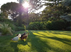 Property grounds - LA MAISON M, contemporaine & chaleureuse, contemporary & warm, Aix en Provence (Aix-En-Provence)