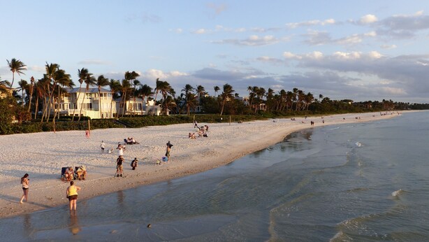 Une plage où l’on voit des gens se prélasser au soleil et nager, des palmiers et, au loin, des maisons.