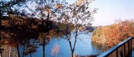 Vista de un lago con árboles y un puente de madera.