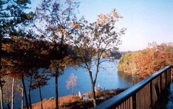 Une vue sur un lac, avec des arbres et un pont en bois.