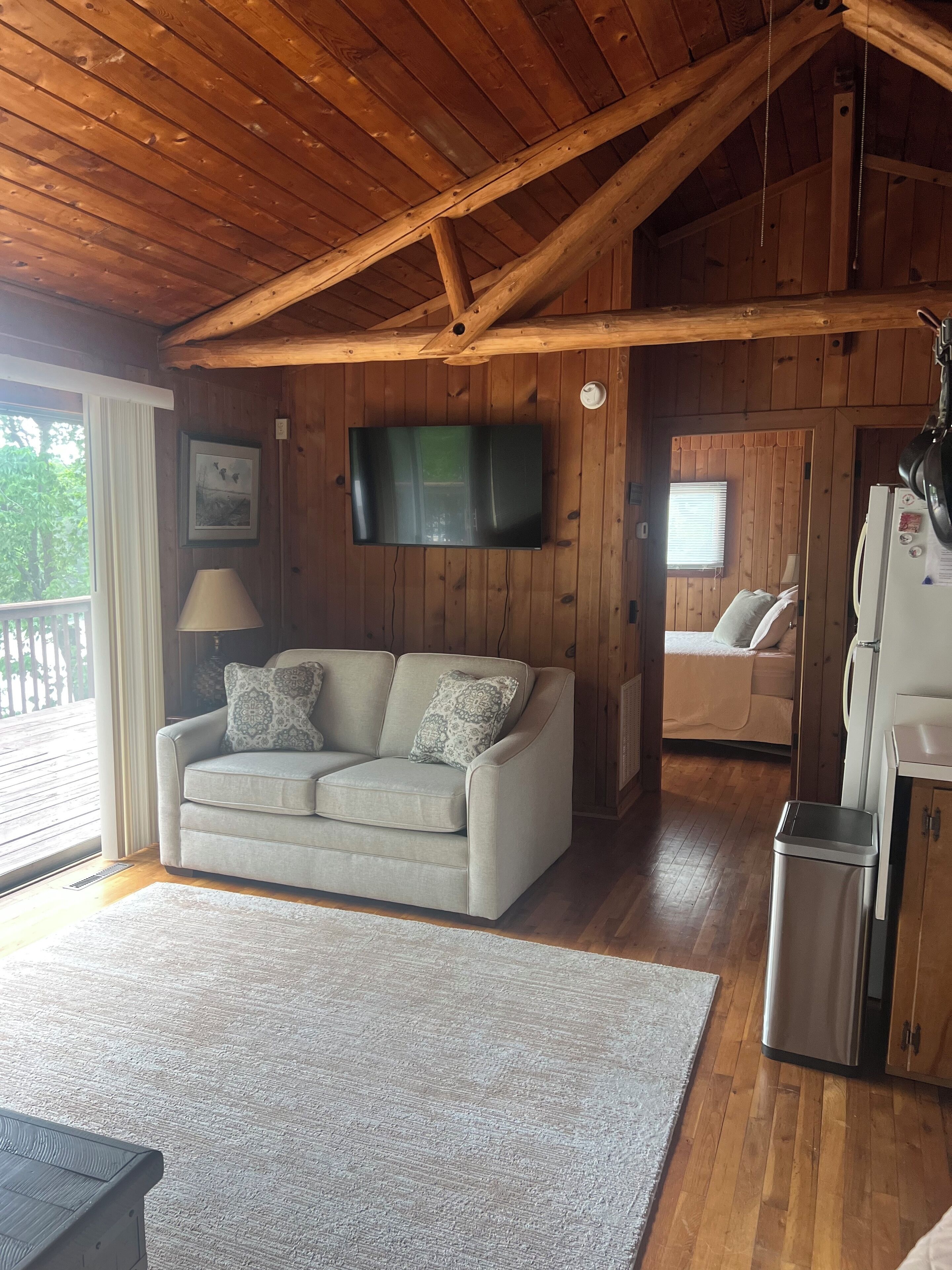 Smart TV, DVD player, books