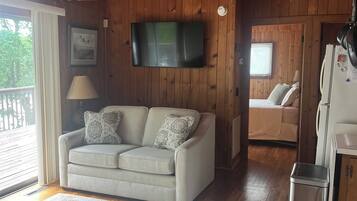 Smart TV, DVD player, books