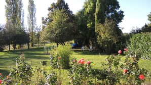 Un jardin avec des arbres, une pelouse et un kiosque.