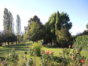 Stroll through a lush garden surrounded by tall trees and vibrant flowers.