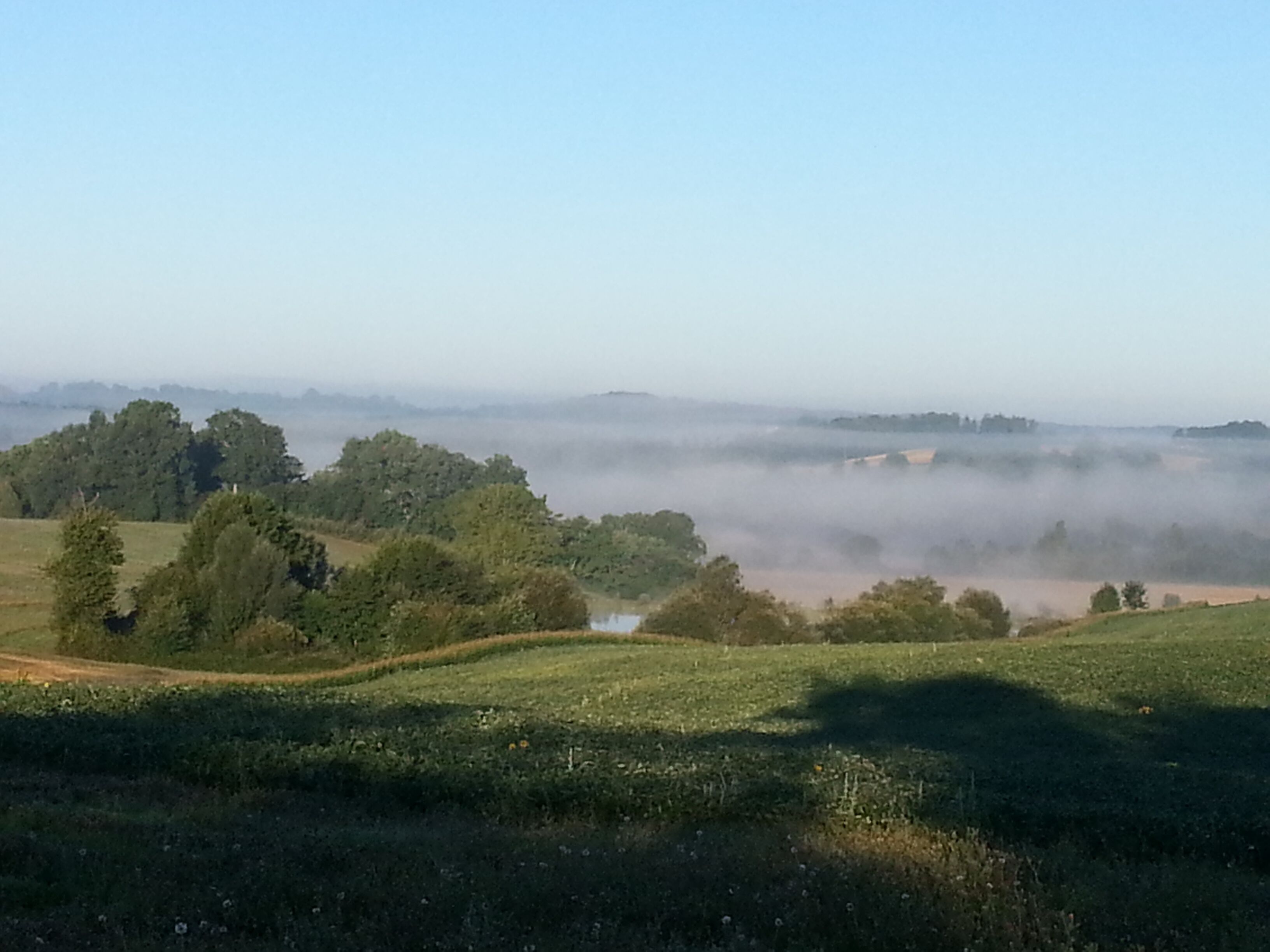 Ländliche Landschaft mit sanften Hügeln, Bäumen und einer nebligen Atmosphäre.