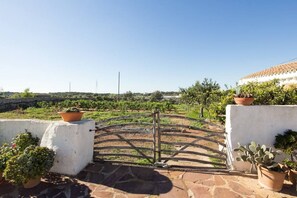 Àrea exterior de l'allotjament